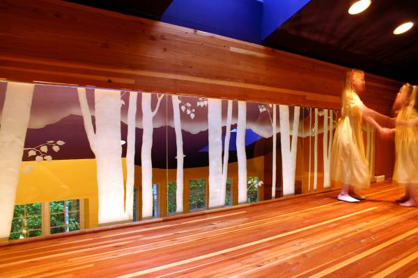 birch etched glass wall