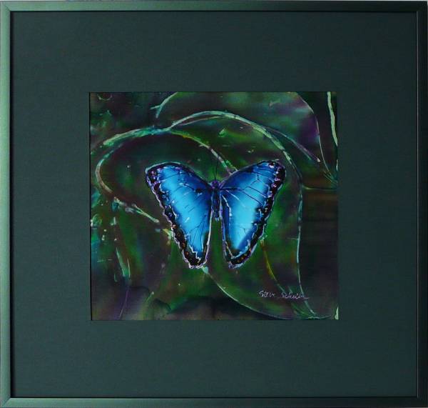 morpho peleides