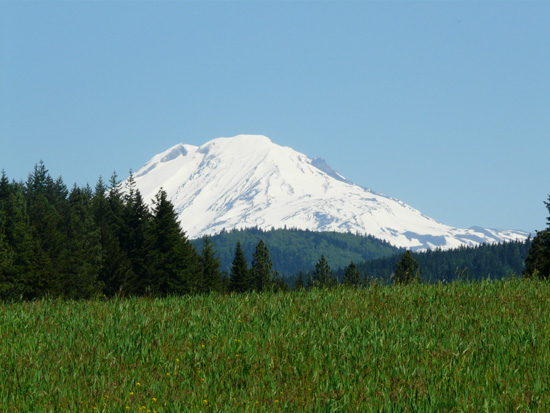Mount Adams to the North...